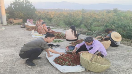 村落振兴工作动态（第172期）