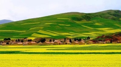 走中国特色社会主义村落振兴路路