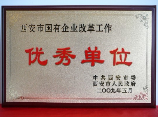 2009年5月，被西安市委、市当驹炖为西安市国企业鼎新工作优良单元