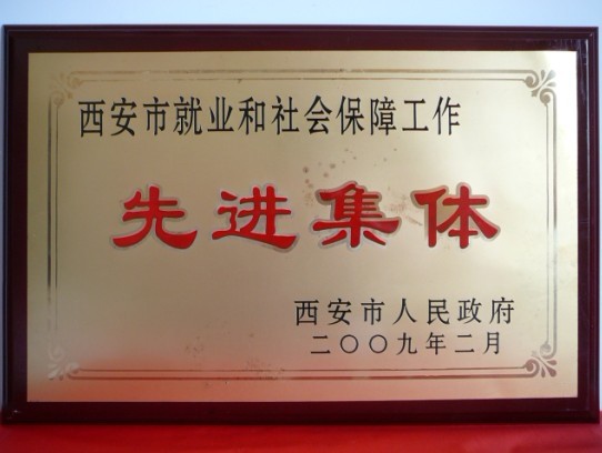 2009年2月，被西安市当驹炖为西安市就业和社会保险工作先进集体